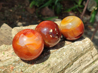 Polished Carnelian Agate Gemstone Spheres x 6 From Madagascar