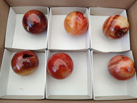 Polished Carnelian Agate Gemstone Spheres x 6 From Madagascar