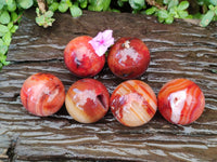 Polished Carnelian Agate Gemstone Spheres x 6 From Madagascar