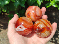 Polished Carnelian Agate Gemstone Spheres x 6 From Madagascar