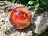 Polished Carnelian Agate Gemstone Spheres x 6 From Madagascar