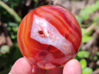 Polished Carnelian Agate Gemstone Spheres x 6 From Madagascar