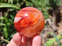 Polished Carnelian Agate Gemstone Spheres x 6 From Madagascar