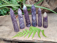 Polished Lepidolite with Pink Rubellite Tourmaline Crystals x 6 From Ambatondrazaka, Madagascar