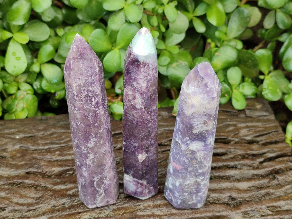 Polished Lepidolite with Pink Rubellite Tourmaline Crystals x 6 From Ambatondrazaka, Madagascar