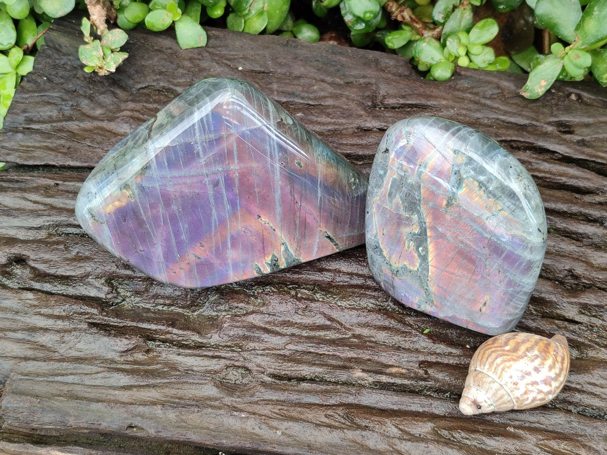 Polished Rare Purple Sunset Flash Labradorite Standing Free Forms x 2 From Madagascar