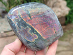 Polished Rare Purple Sunset Flash Labradorite Standing Free Forms x 2 From Madagascar