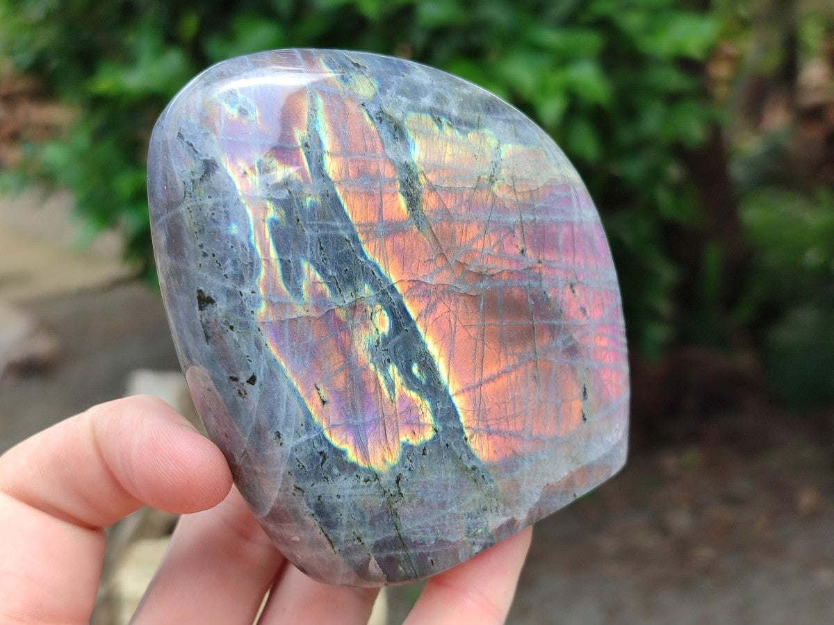Polished Rare Purple Sunset Flash Labradorite Standing Free Forms x 2 From Madagascar