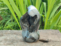 Polished Septerye Sauvage "Dragons Egg" Geode Standing Free Form x 1 From Mahajanga, Madagascar