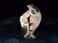 Polished Septerye Sauvage "Dragons Egg" Geode Standing Free Form x 1 From Mahajanga, Madagascar