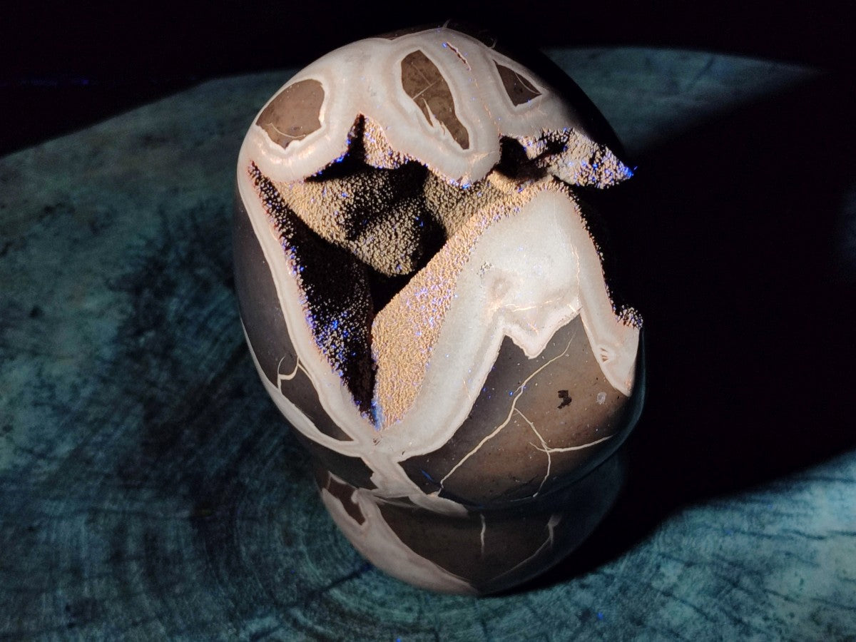 Polished Septerye Sauvage "Dragons Egg" Geode Standing Free Form x 1 From Mahajanga, Madagascar