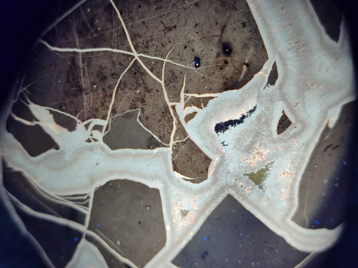 Polished Septerye Sauvage "Dragons Egg" Geode Standing Free Form x 1 From Mahajanga, Madagascar