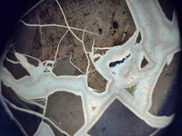 Polished Septerye Sauvage "Dragons Egg" Geode Standing Free Form x 1 From Mahajanga, Madagascar