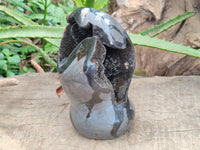 Polished Septerye Sauvage "Dragons Egg" Geode Standing Free Form x 1 From Mahajanga, Madagascar