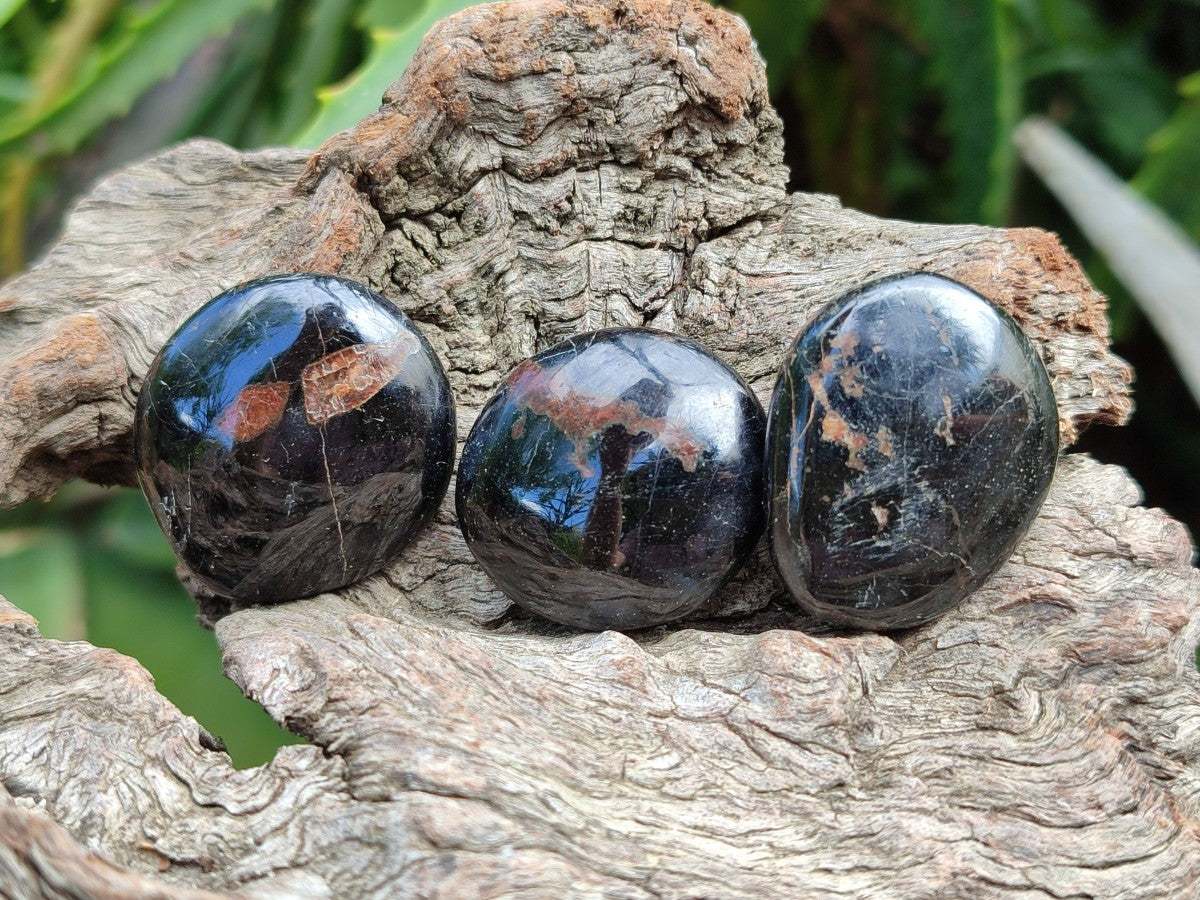 Polished Mini Black Tourmaline Free Forms x 35 From Madagascar - Toprock Gemstones and Minerals 