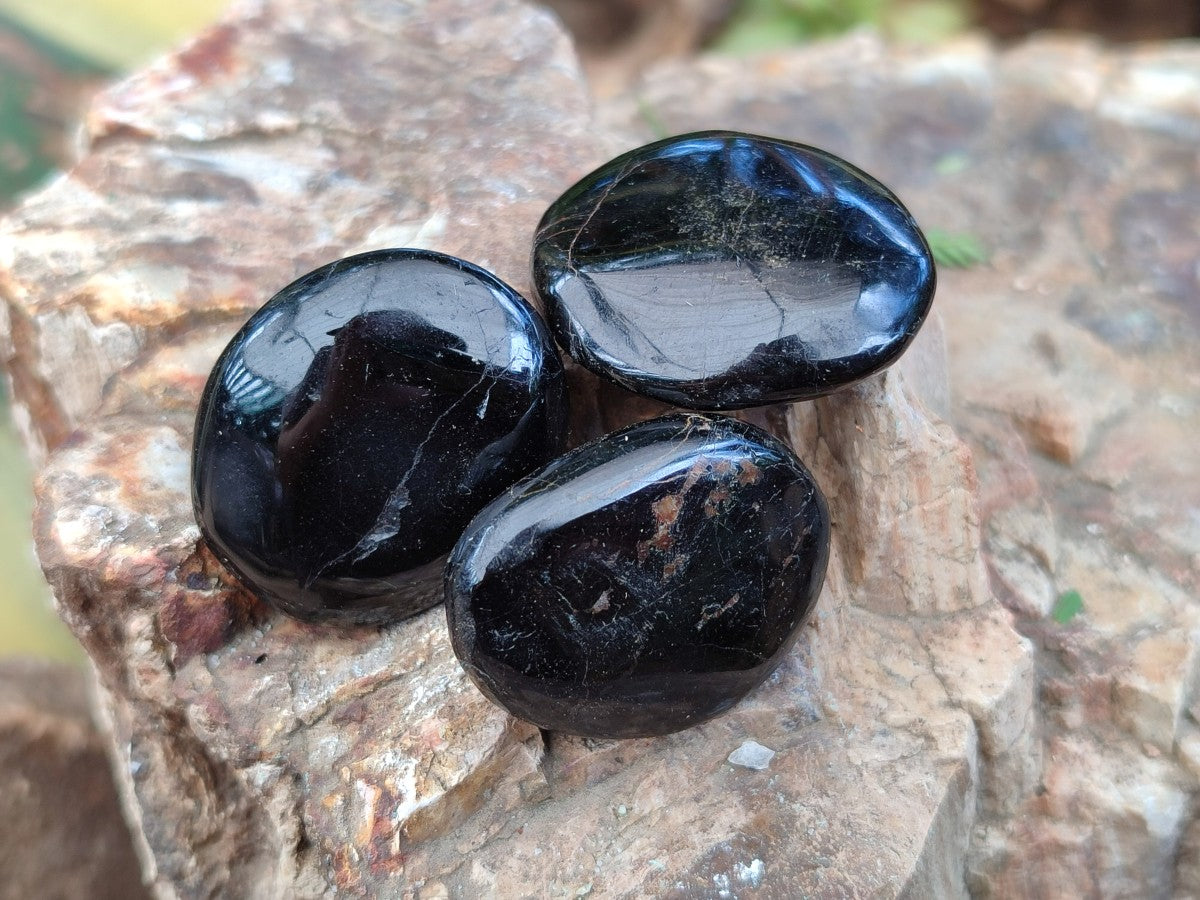 Polished Mini Black Tourmaline Free Forms x 35 From Madagascar - Toprock Gemstones and Minerals 
