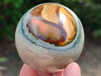 Polished Polychrome Jasper Spheres x 6 From NW Coast, Madagascar