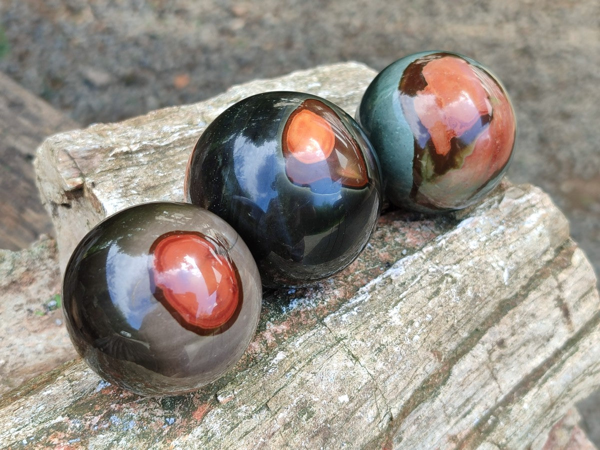Polished Polychrome Jasper Spheres x 6 From NW Coast, Madagascar