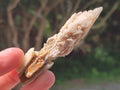 Natural Drusy Quartz Coated Spearhead Calcite Crystals x 35 From Albert's Mountain, Lesotho
