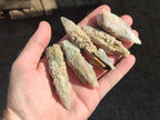 Natural Drusy Quartz Coated Spearhead Calcite Crystals x 35 From Albert's Mountain, Lesotho