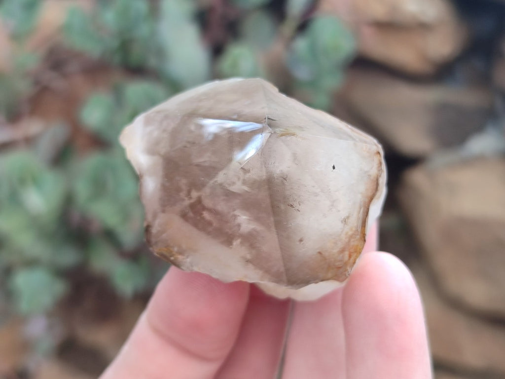 Polished Smokey Quartz Crystal Terminations x 13 From Madagascar