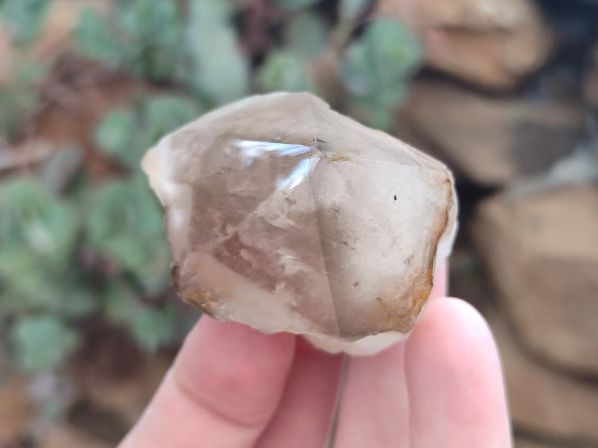 Polished Smokey Quartz Crystal Terminations x 13 From Madagascar