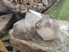 Polished Smokey Quartz Crystal Terminations x 13 From Madagascar