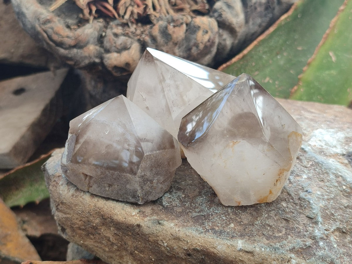 Polished Smokey Quartz Crystal Terminations x 13 From Madagascar