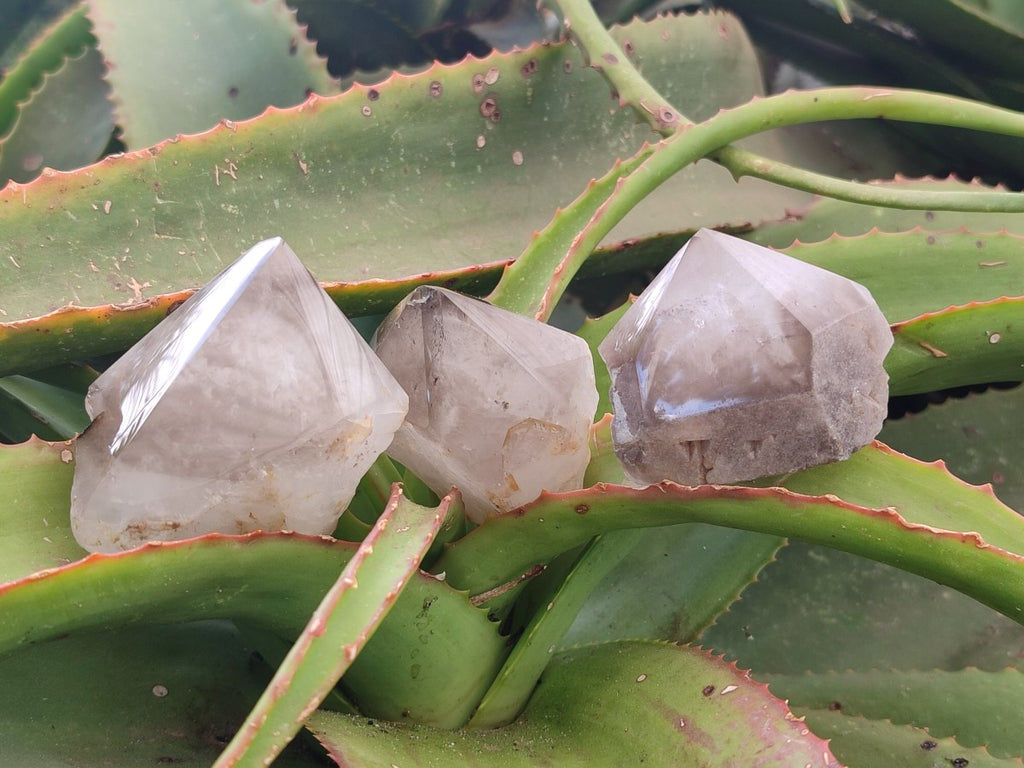 Polished Smokey Quartz Crystal Terminations x 13 From Madagascar