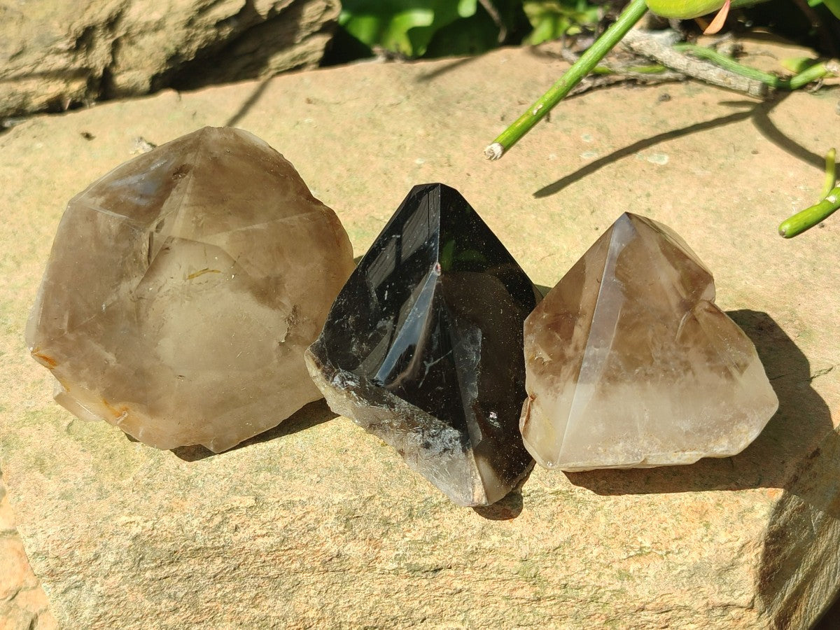 Polished Smokey Quartz Crystal Terminations x 13 From Madagascar
