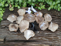 Polished Smokey Quartz Crystal Terminations x 13 From Madagascar