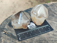 Polished Smokey Quartz Crystal Terminations x 13 From Madagascar