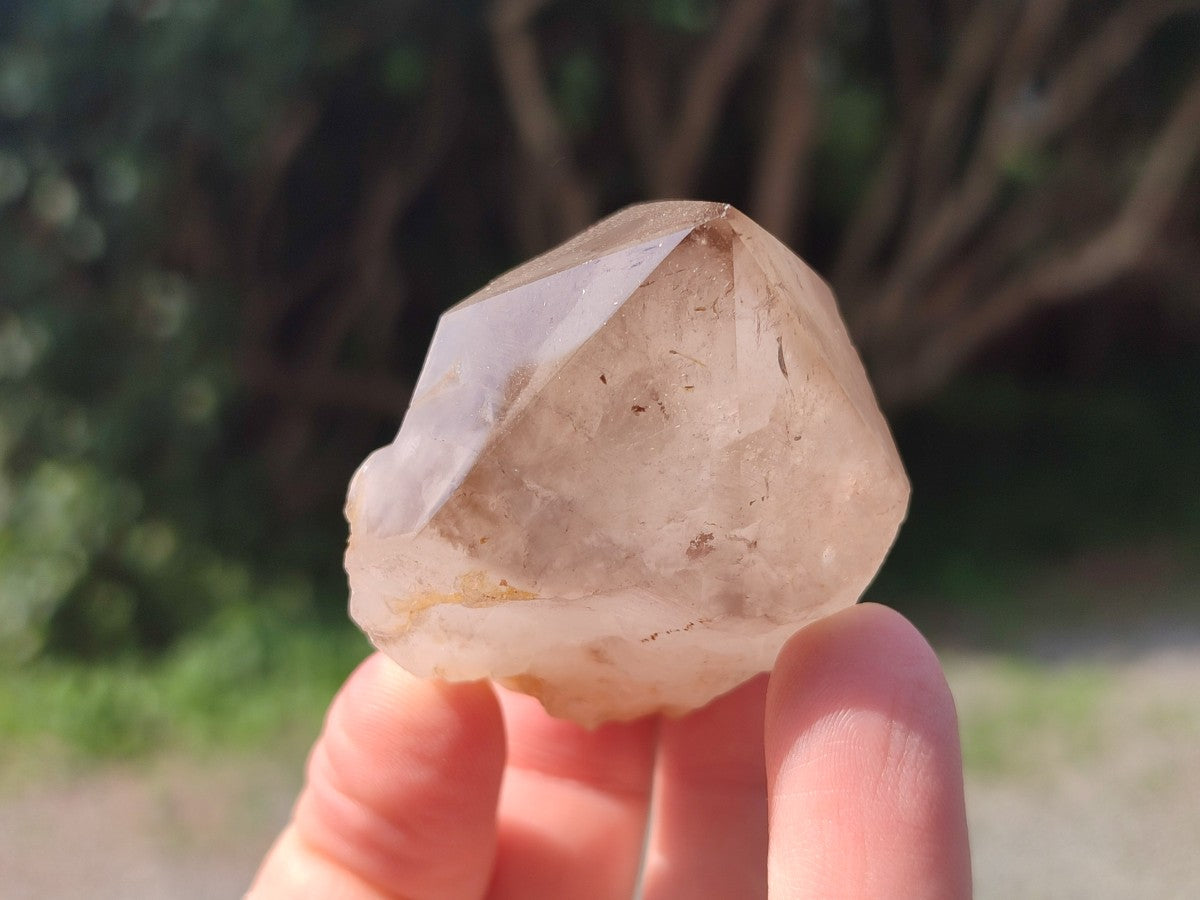 Polished Smokey Quartz Crystal Terminations x 13 From Madagascar