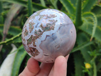 Polished Shashe River Agate Spheres x 5 From Shashe River, Zimbabwe