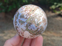 Polished Shashe River Agate Spheres x 5 From Shashe River, Zimbabwe