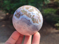 Polished Shashe River Agate Spheres x 5 From Shashe River, Zimbabwe