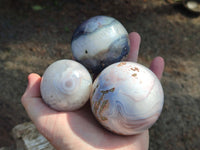 Polished Shashe River Agate Spheres x 5 From Shashe River, Zimbabwe