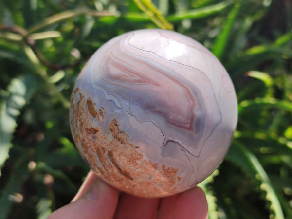 Polished Shashe River Agate Spheres x 5 From Shashe River, Zimbabwe