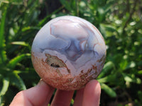 Polished Shashe River Agate Spheres x 5 From Shashe River, Zimbabwe