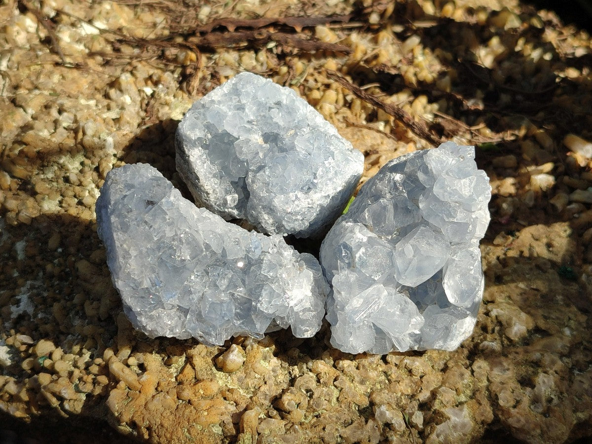 Natural Blue Mini Celestite Crystal Cluster Specimens x 40 From Sakoany, Madagascar