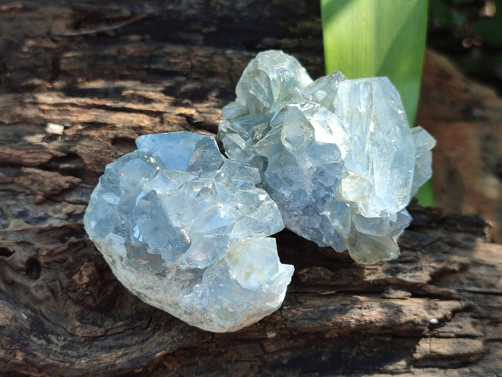 Natural Blue Mini Celestite Crystal Cluster Specimens x 40 From Sakoany, Madagascar