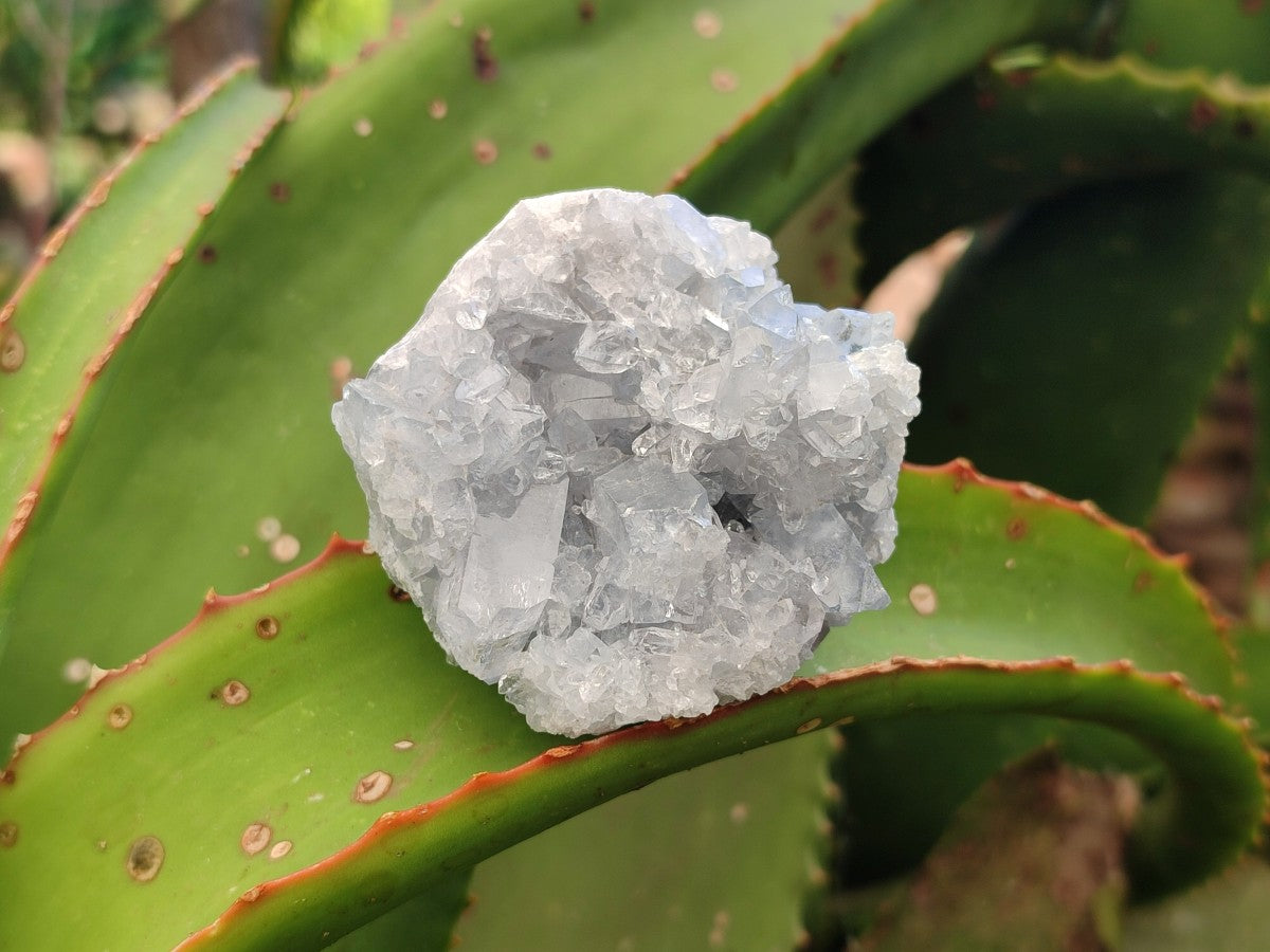 Natural Blue Mini Celestite Crystal Cluster Specimens x 40 From Sakoany, Madagascar