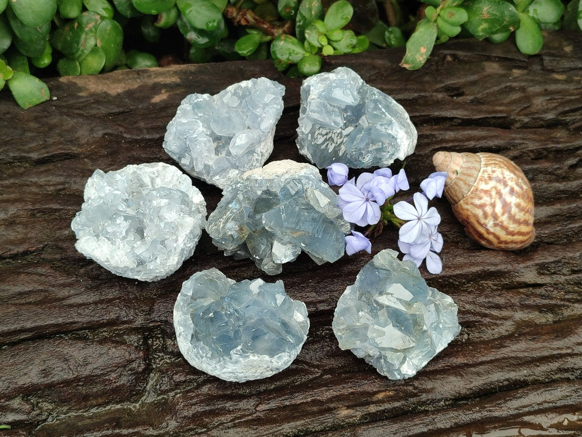 Natural Blue Mini Celestite Crystal Cluster Specimens x 40 From Sakoany, Madagascar