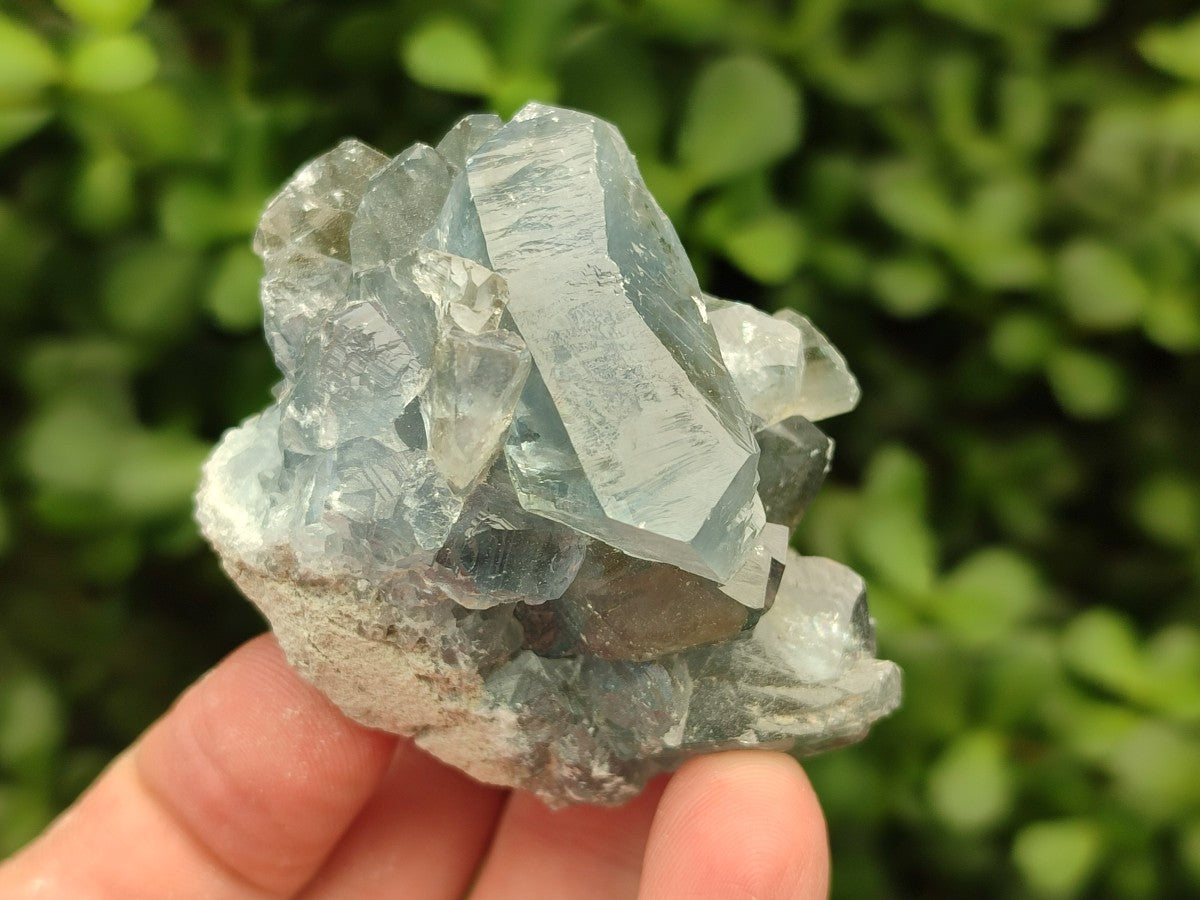 Natural Blue Mini Celestite Crystal Cluster Specimens x 40 From Sakoany, Madagascar