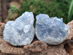 Natural Blue Mini Celestite Crystal Cluster Specimens x 40 From Sakoany, Madagascar