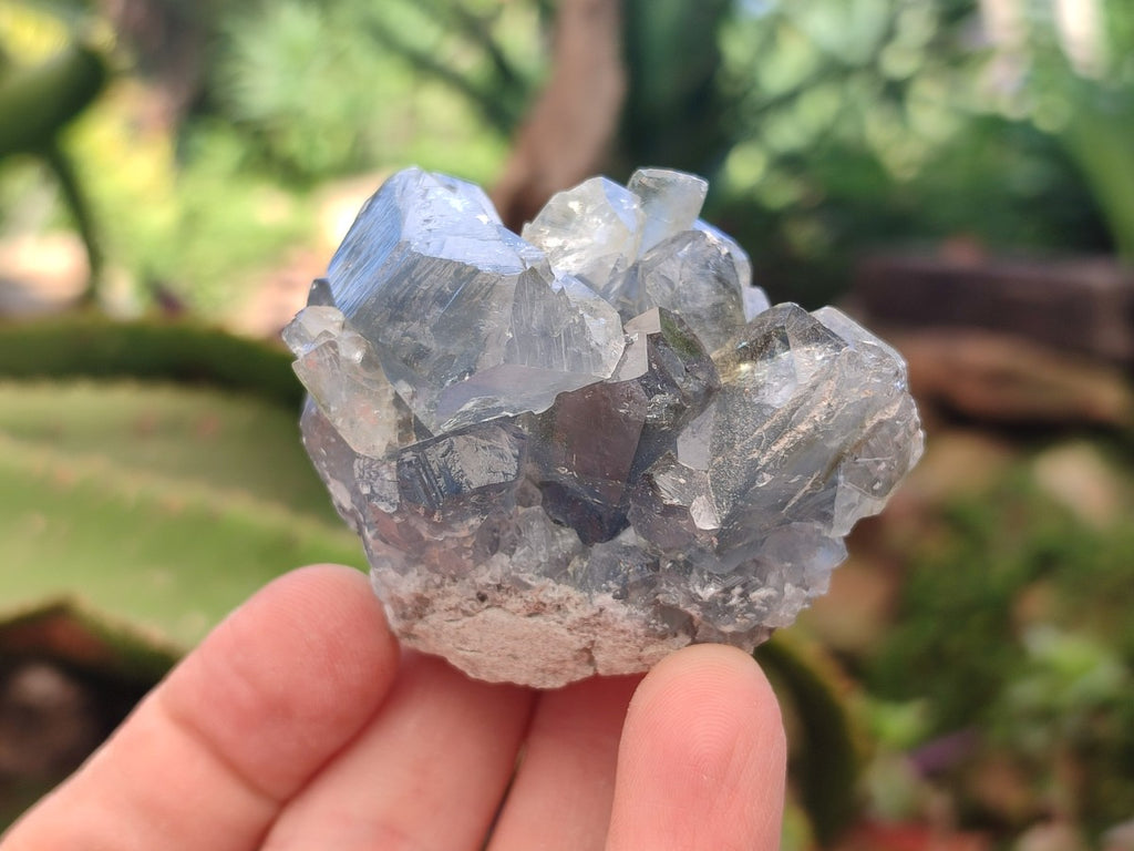 Natural Blue Mini Celestite Crystal Cluster Specimens x 40 From Sakoany, Madagascar