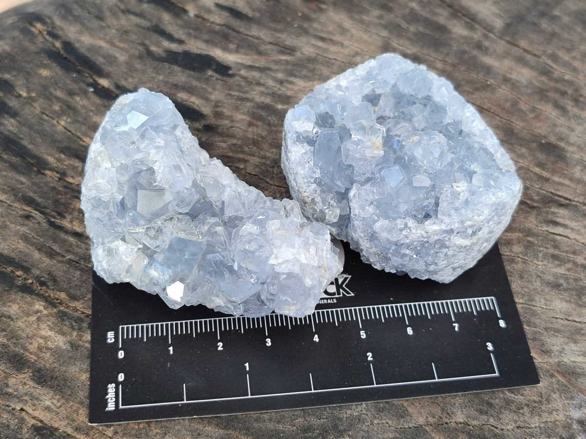 Natural Blue Mini Celestite Crystal Cluster Specimens x 40 From Sakoany, Madagascar