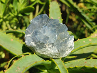 Natural Blue Mini Celestite Crystal Cluster Specimens x 40 From Sakoany, Madagascar