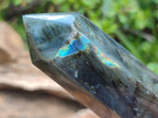 Polished Labradorite Display Crystals x 3 From Madagascar