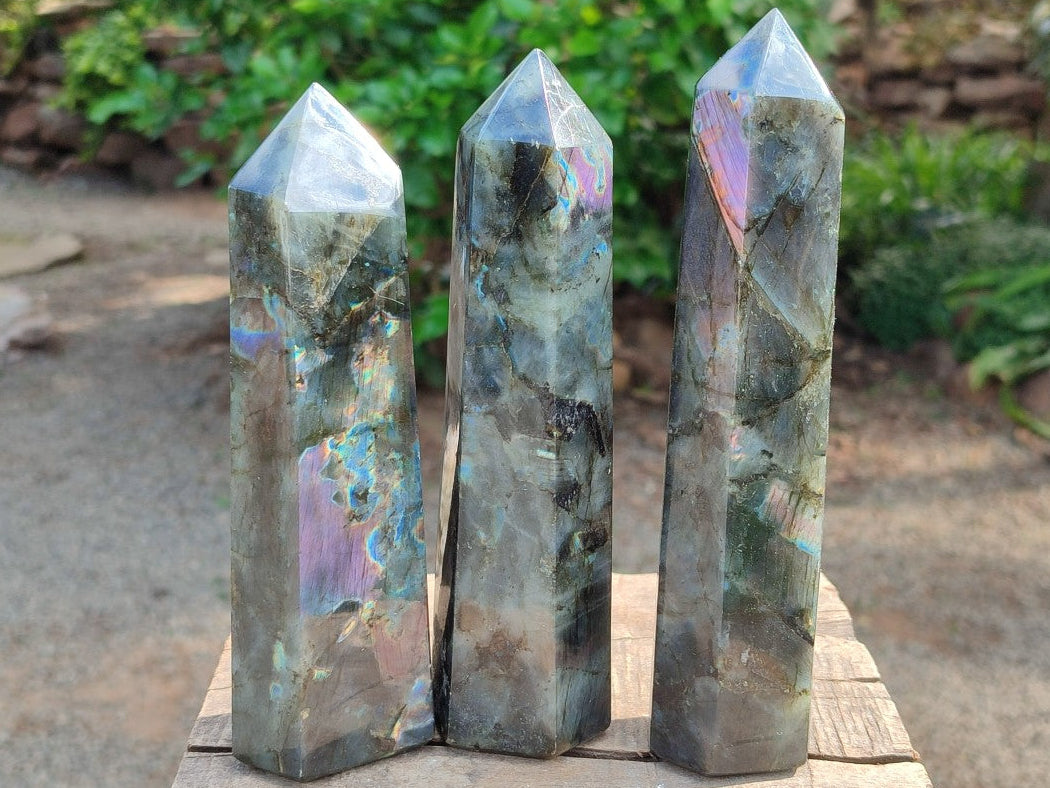 Polished Labradorite Display Crystals x 3 From Madagascar